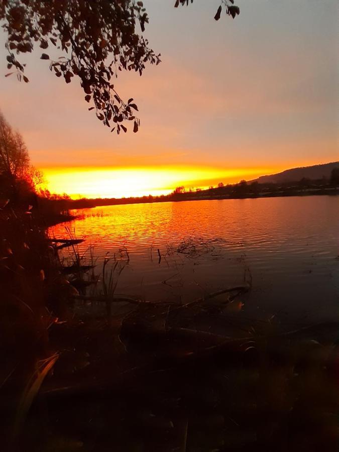 Ferienhaus Am Weserberglandsee Lauenforde Buitenkant foto