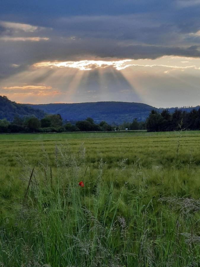 Ferienhaus Am Weserberglandsee Lauenforde Buitenkant foto